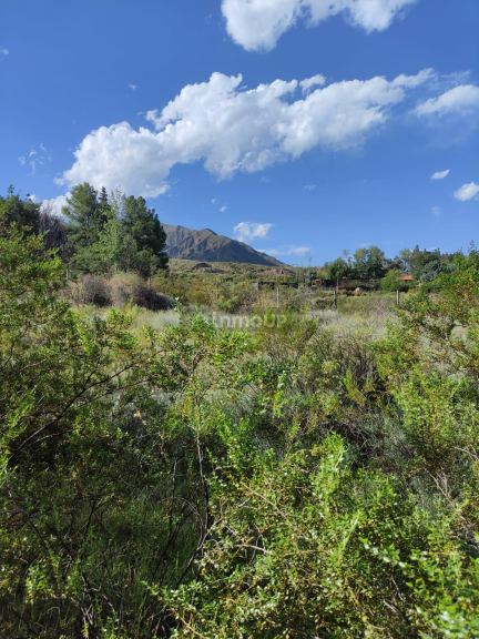Lote en Venta en Lujan de Cuyo, Mendoza