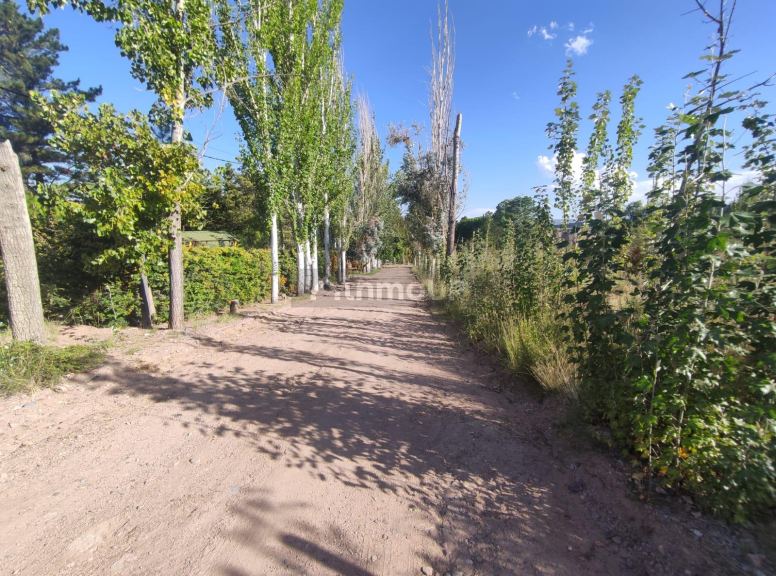 Lote en Venta en Lujan de Cuyo, Mendoza