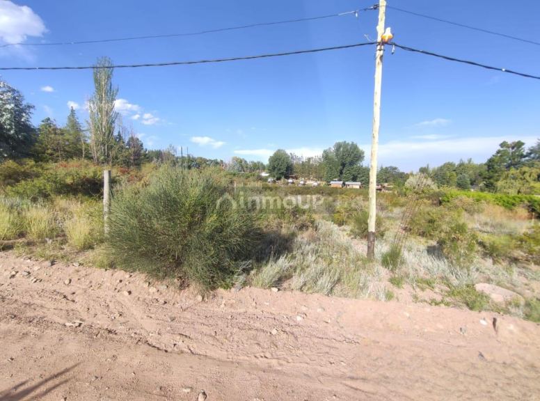 Lote en Venta en Lujan de Cuyo, Mendoza