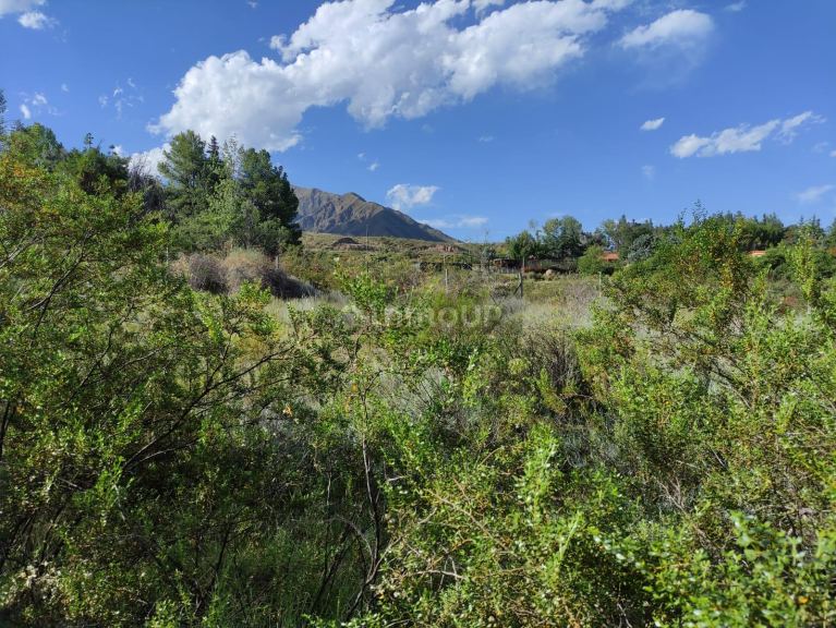 Lote en Venta en Lujan de Cuyo, Mendoza