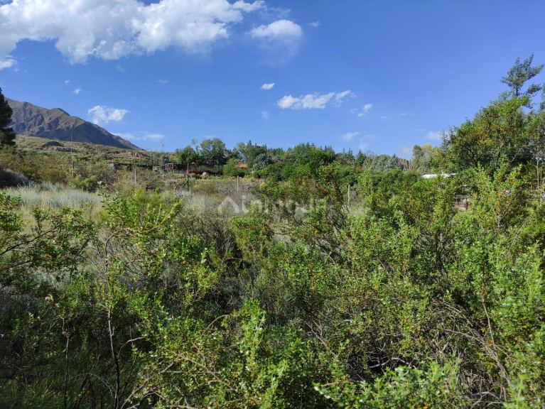 Lote en Venta en Lujan de Cuyo, Mendoza