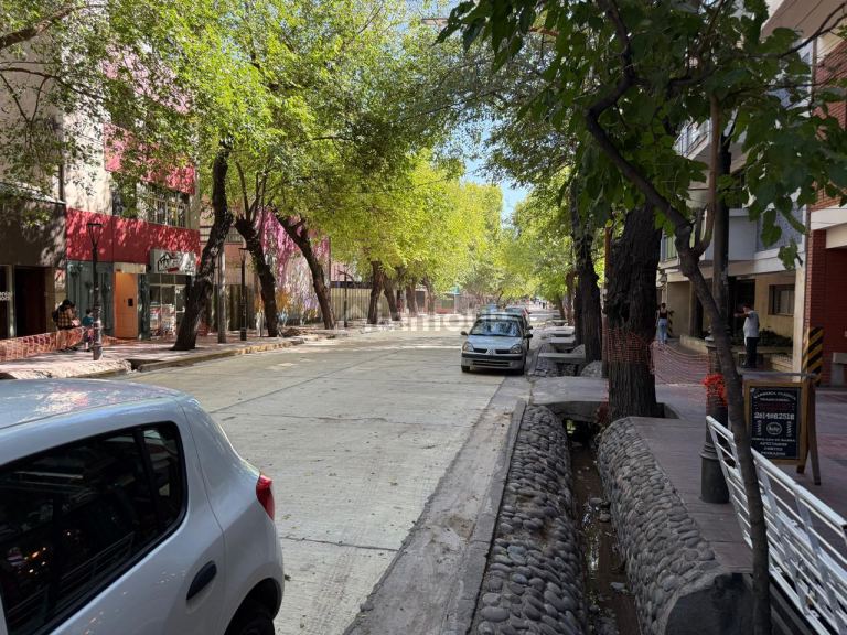 Departamento en Alquiler en Capital, Mendoza