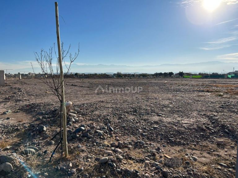Terreno en Venta en Maipu, Mendoza