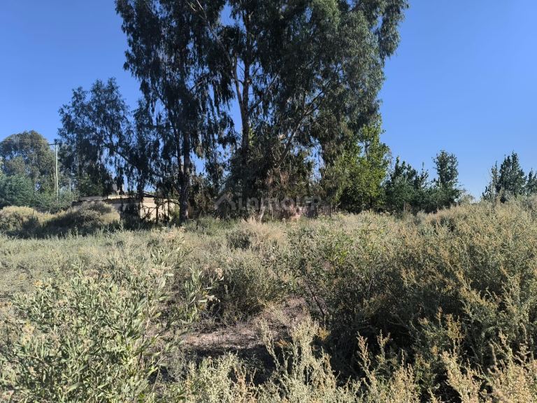 Lote en Venta en Maipu, Mendoza