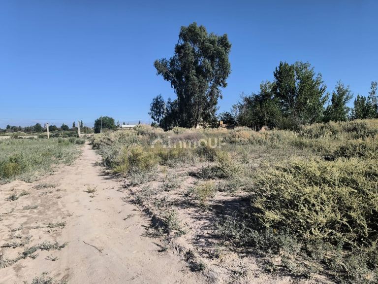 Lote en Venta en Maipu, Mendoza