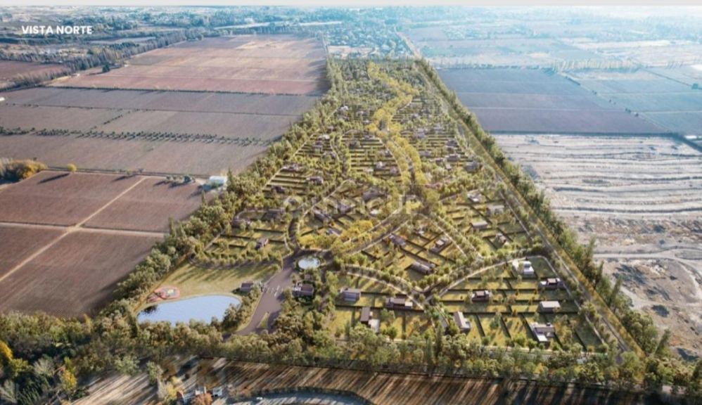 Lote en Venta en Lujan de Cuyo, Mendoza