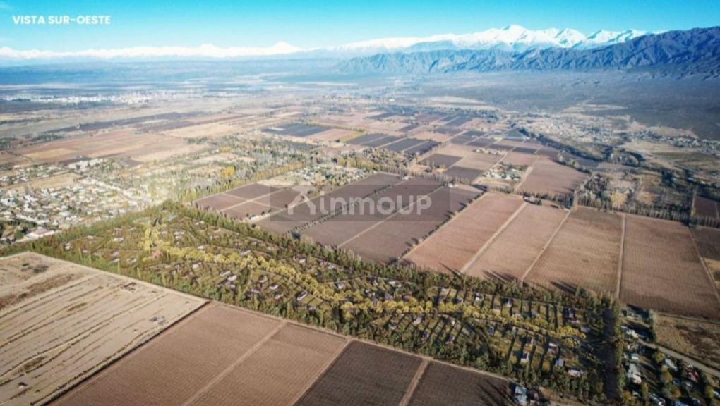 Lote en Venta en Lujan de Cuyo, Mendoza