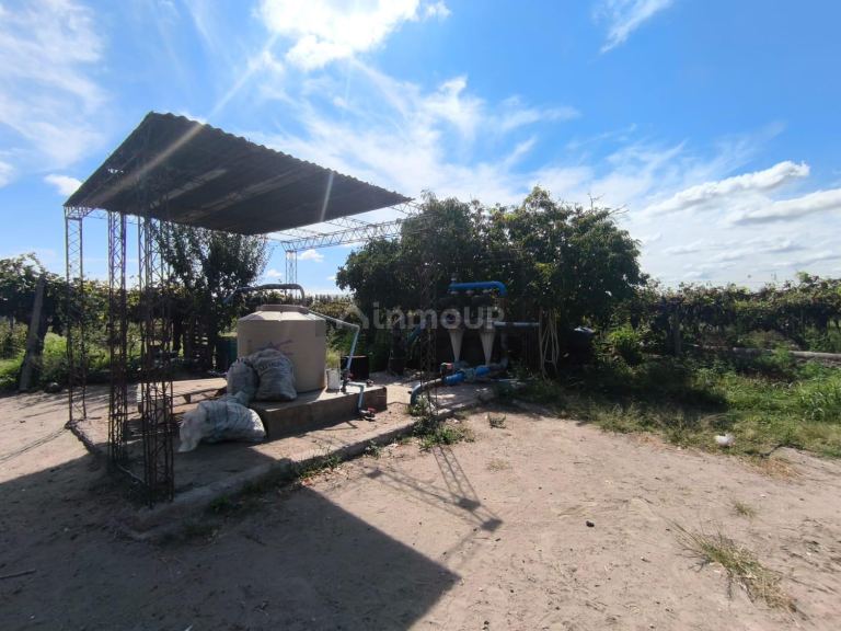 Finca en Venta en San Carlos, Mendoza