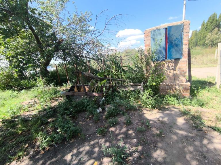 Finca en Venta en San Carlos, Mendoza