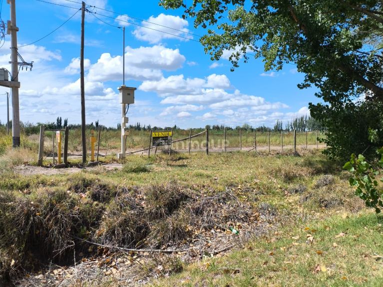Finca en Venta en San Carlos, Mendoza