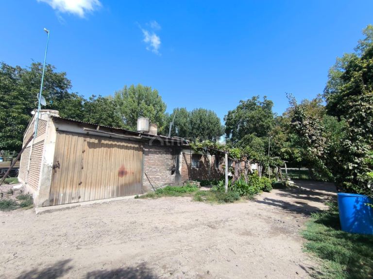 Finca en Venta en San Carlos, Mendoza