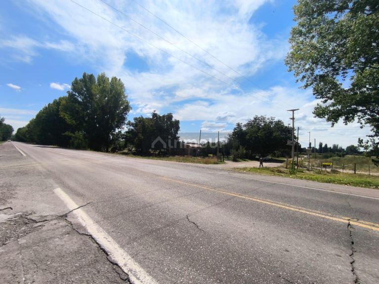Finca en Venta en San Carlos, Mendoza
