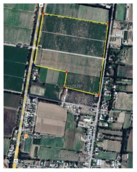 Finca en Venta en San Carlos, Mendoza