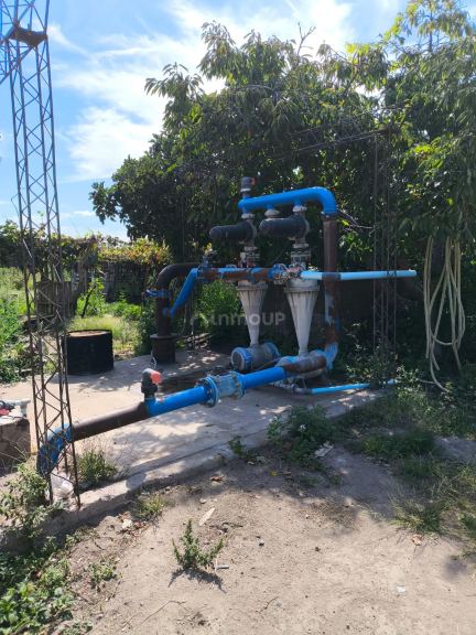 Campo en Venta en San Carlos, Mendoza