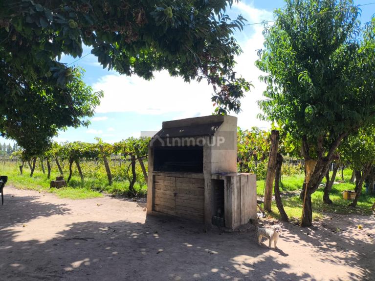 Campo en Venta en San Carlos, Mendoza