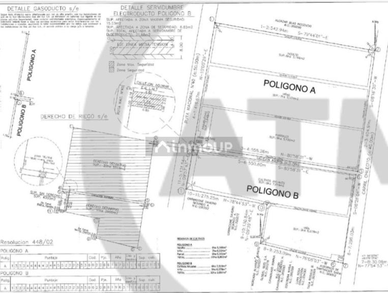 Viñedo en Venta en San Carlos, Mendoza