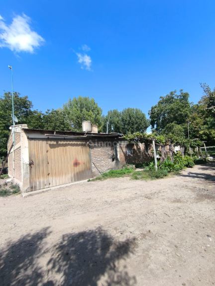 Viñedo en Venta en San Carlos, Mendoza