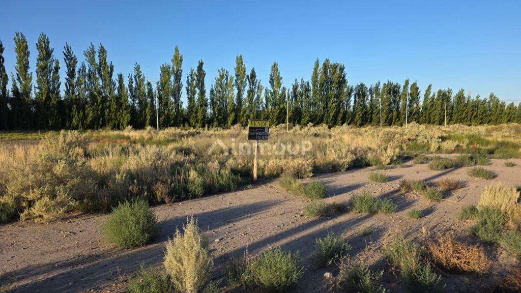 Lote en Venta en San Rafael, Mendoza
