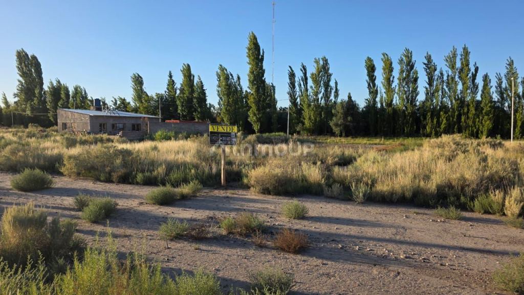 Lote en Venta en San Rafael, Mendoza