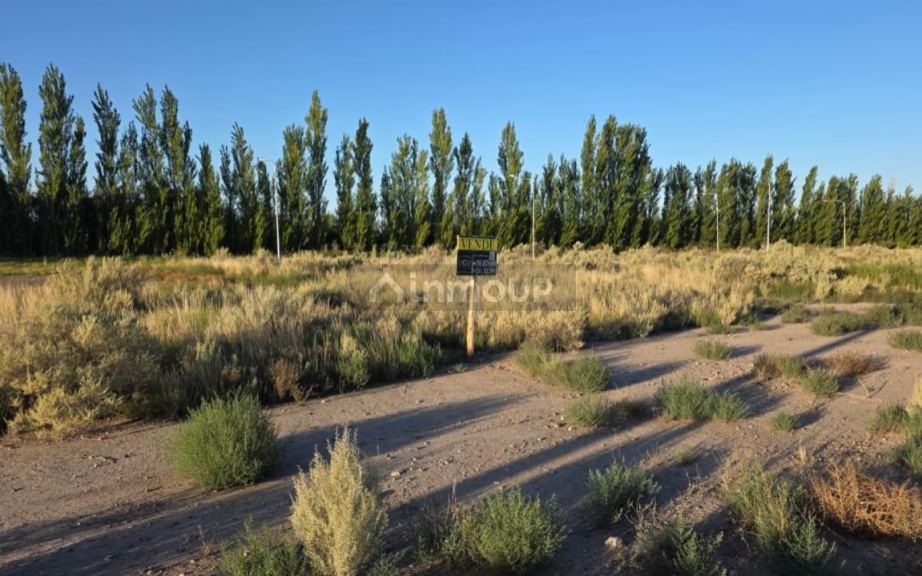 Lote en Venta en San Rafael, Mendoza
