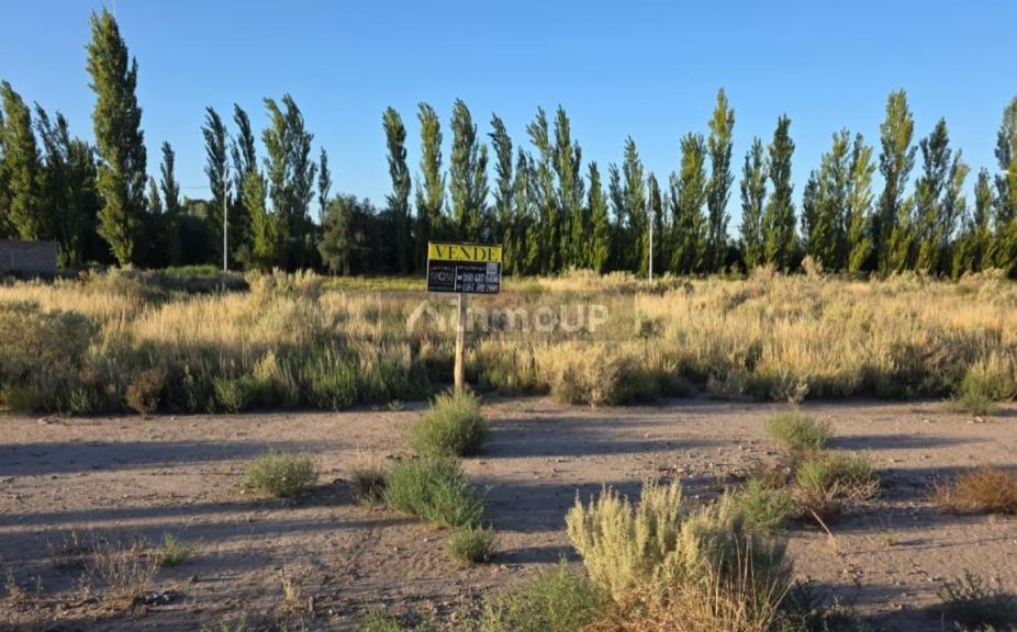 Lote en Venta en San Rafael, Mendoza