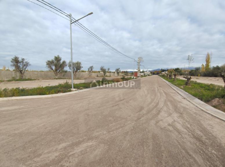 Loteo en Venta en Lujan de Cuyo, Mendoza