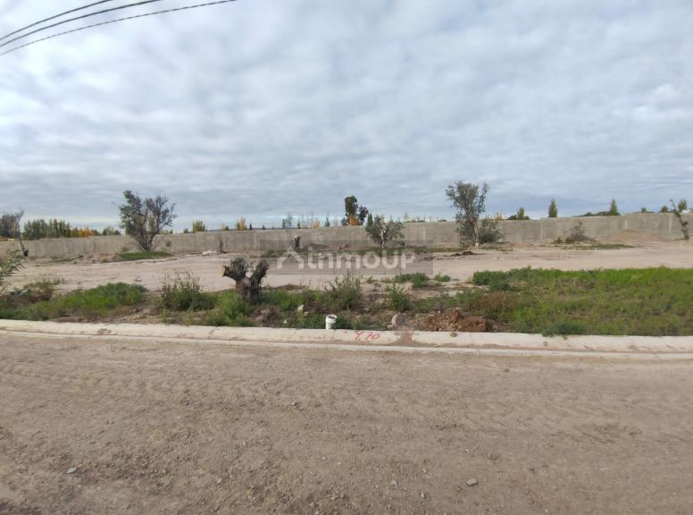 Loteo en Venta en Lujan de Cuyo, Mendoza
