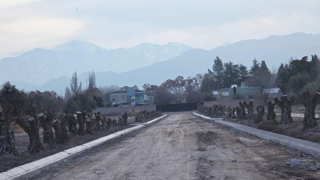 Loteo en Venta en Lujan de Cuyo, Mendoza