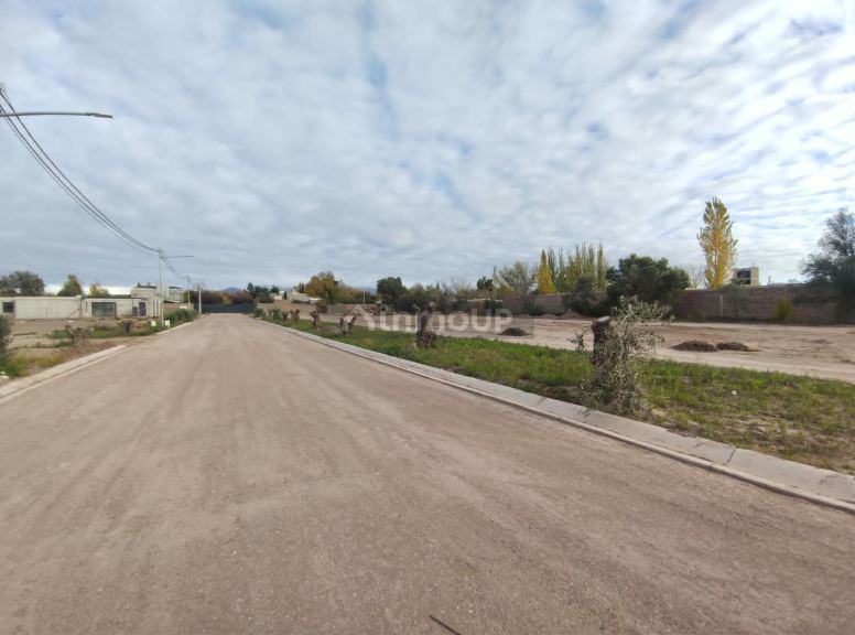 Loteo en Venta en Lujan de Cuyo, Mendoza