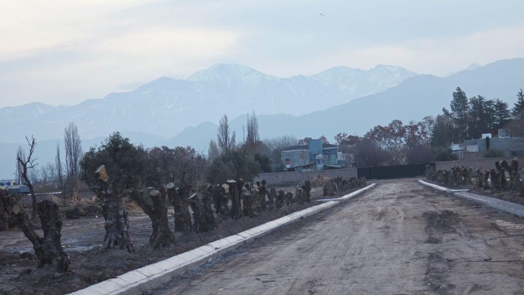 Loteo en Venta en Lujan de Cuyo, Mendoza