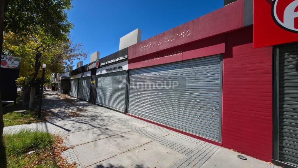 Local Comercial en Alquiler en San Rafael, Mendoza