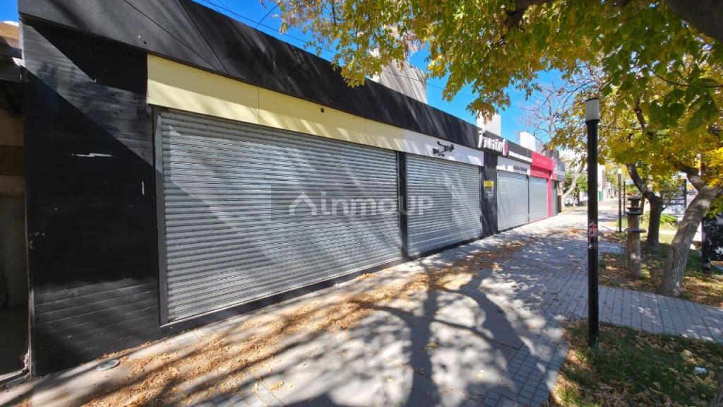 Local Comercial en Alquiler en San Rafael, Mendoza