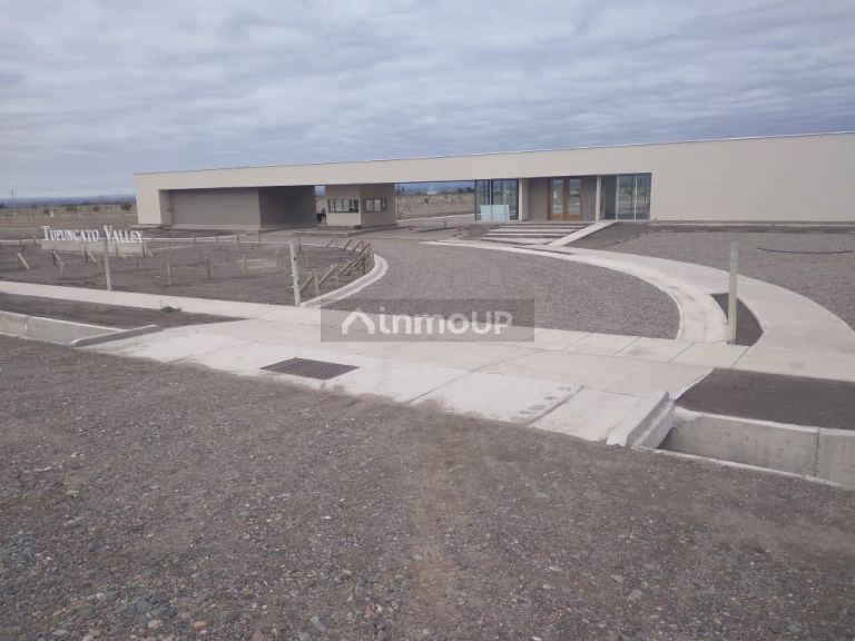 Terreno en Venta en Tupungato, Mendoza