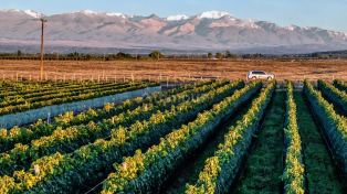 Tupungato Hermoso lote + proyecto / Tupungato Valley