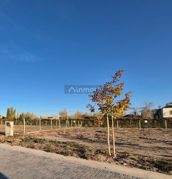 Lote en Venta en Lujan de Cuyo, Mendoza