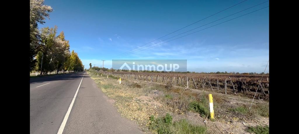 Finca en Venta en Rivadavia, Mendoza