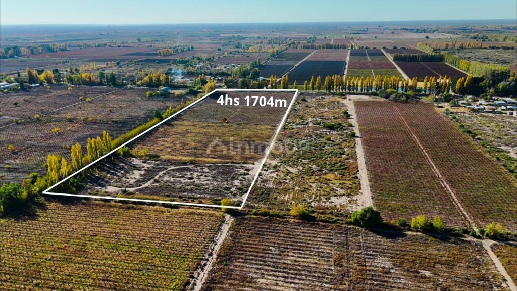 Finca en Venta en Rivadavia, Mendoza