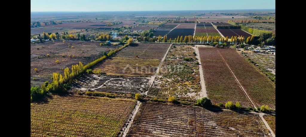 Finca en Venta en Rivadavia, Mendoza