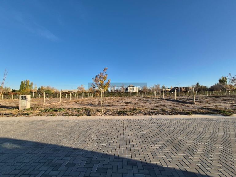 Terreno en Venta en Lujan de Cuyo, Mendoza