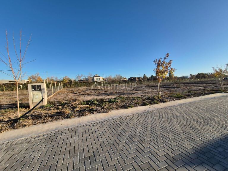 Terreno en Venta en Lujan de Cuyo, Mendoza