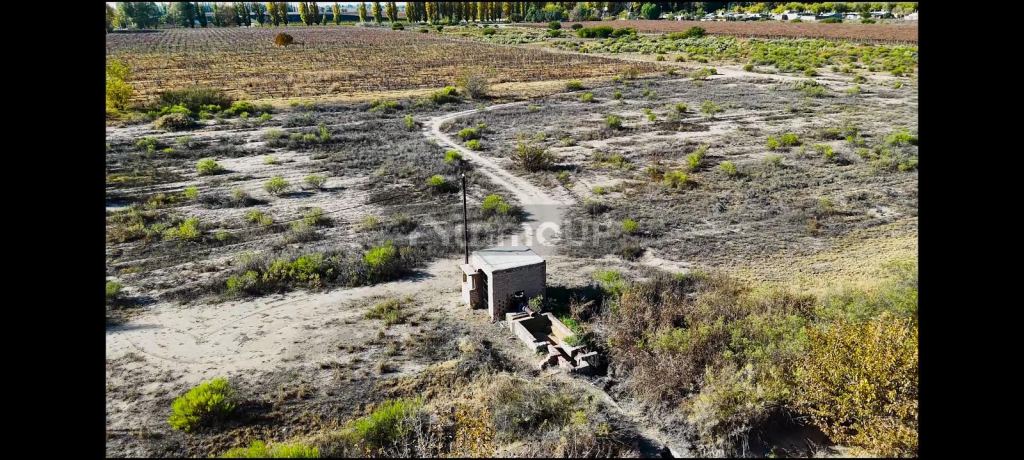 Campo en Venta en Rivadavia, Mendoza