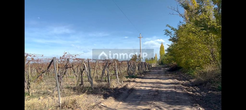 Campo en Venta en Rivadavia, Mendoza