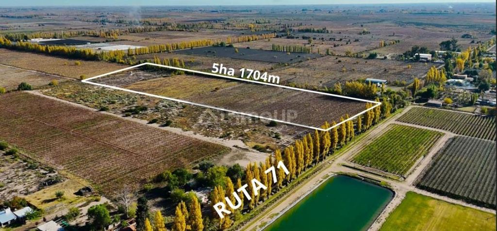 Campo en Venta en Rivadavia, Mendoza