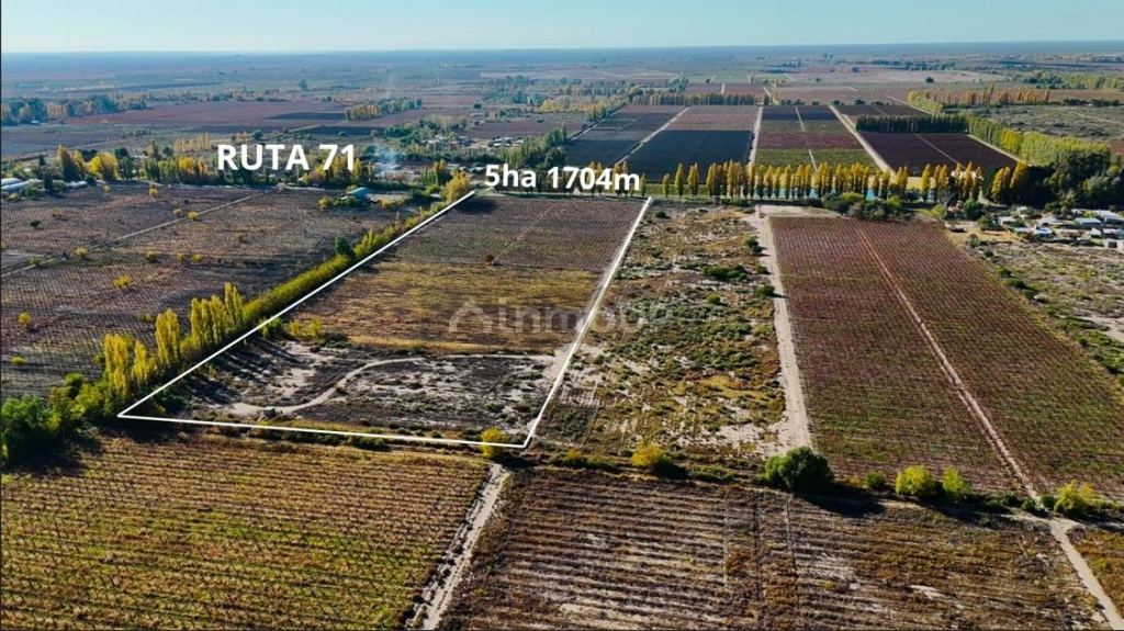 Campo en Venta en Rivadavia, Mendoza