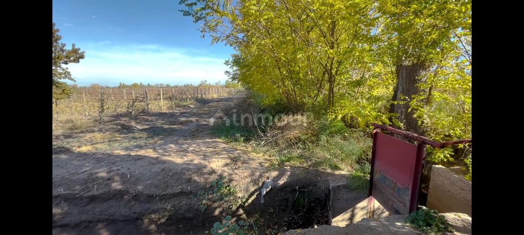 Campo en Venta en Rivadavia, Mendoza