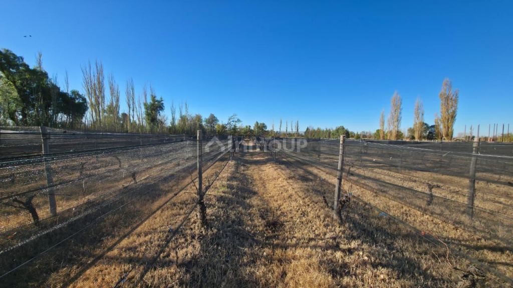 Finca en Venta en San Rafael, Mendoza