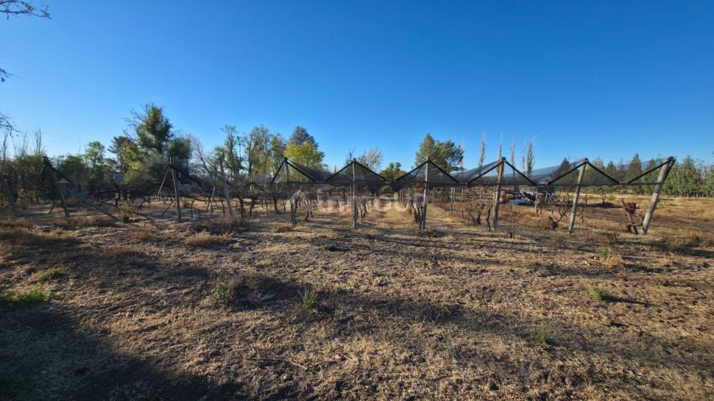 Finca en Venta en San Rafael, Mendoza