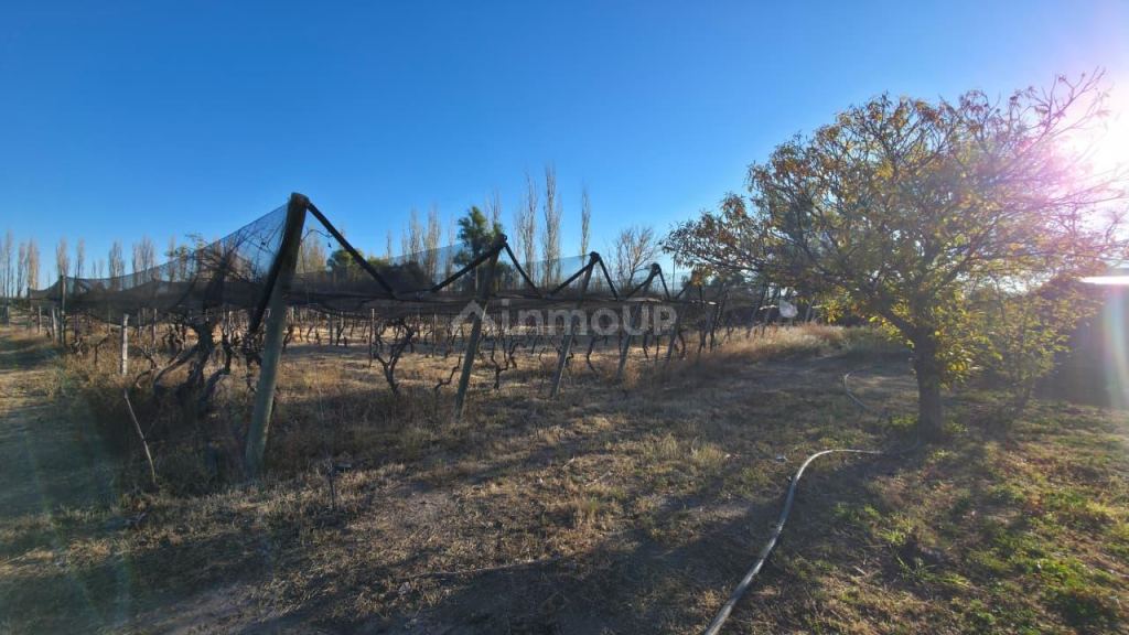 Finca en Venta en San Rafael, Mendoza