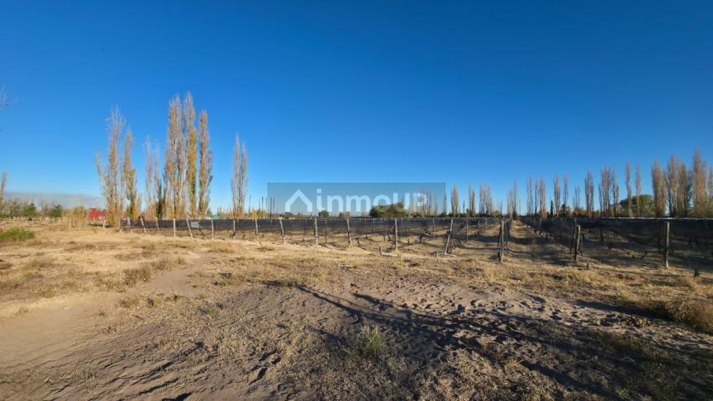 Finca en Venta en San Rafael, Mendoza
