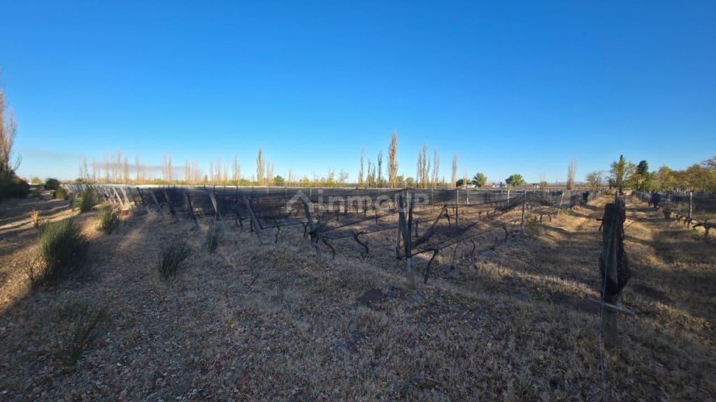 Finca en Venta en San Rafael, Mendoza
